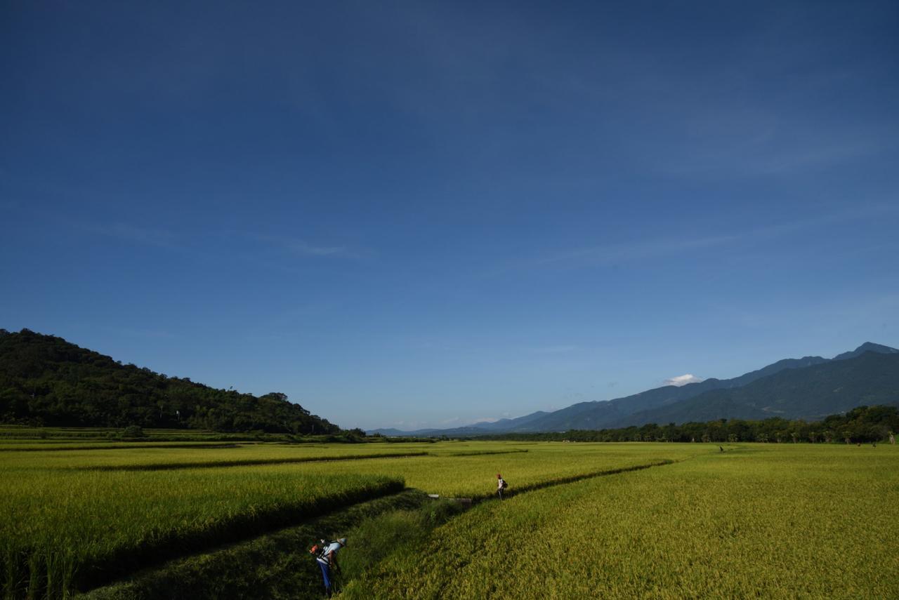 ロスト アンド ファインド ホームステイ 関山鎮 エクステリア 写真